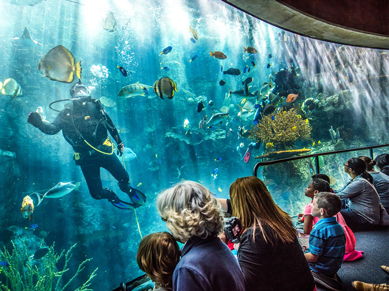 Aquarium of the Pacific